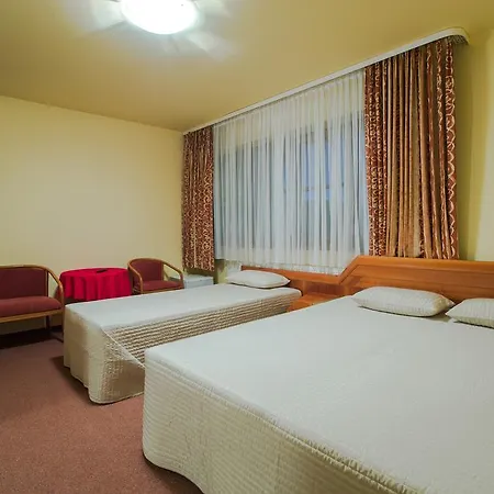 Kormoran - 300m Od Plazy